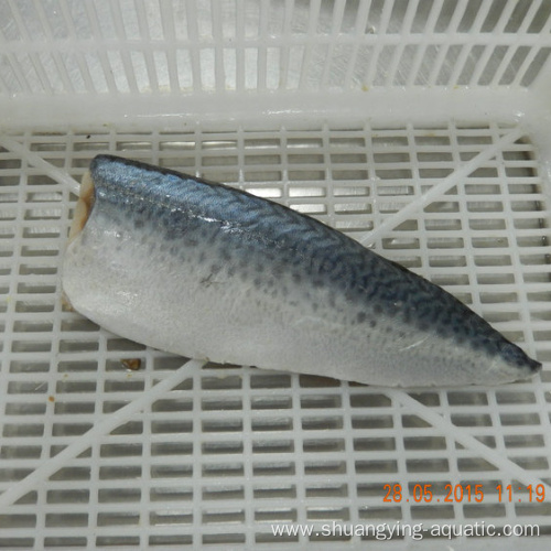 Frozen Mackerel Fish Fillet Boneless In Vacuum Packed